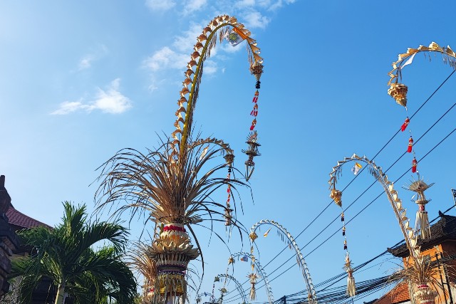 penjor bali ceremony hindu cluture