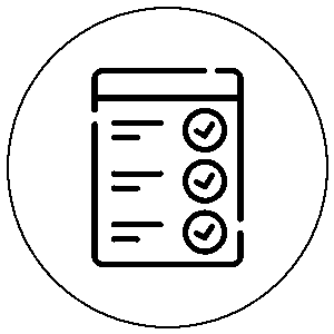 travel regulations checklist icon