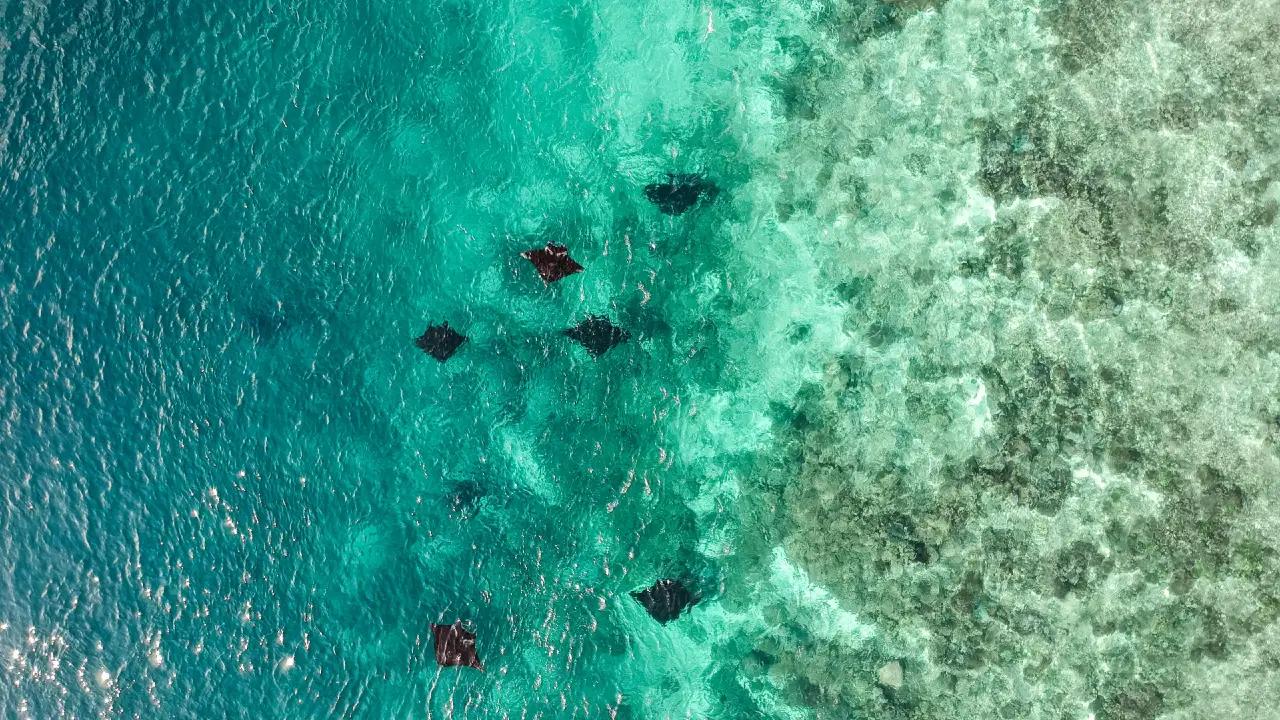labuan bajo snorkeling