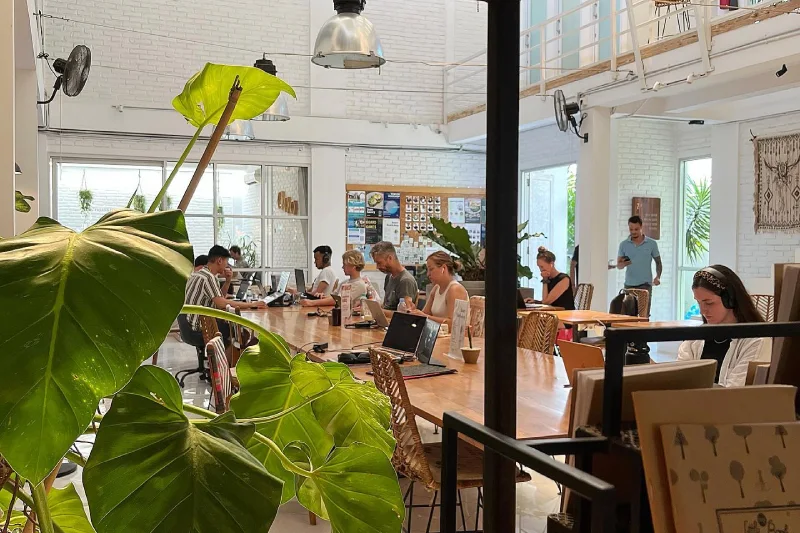 Tropical Nomad Coworking Space
