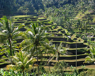 Bali_panorama